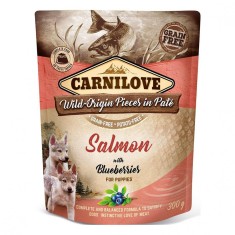 Carnilove Puppy Somon cu afine 300 g foto