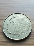 Moneda Namibia 1 Dollar 1993, Africa