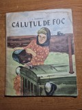 Carte pentru copii - calutul de foc - din anul 1964
