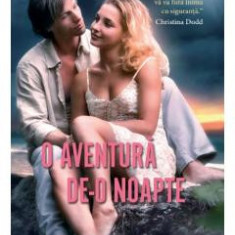 O aventura de-o noapte - Lorraine Heath