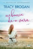 Nebunie de-o vară, Litera