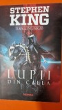 Turnul intunecat. Lupii din Calla - Stephen King