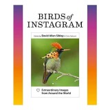 Birds of Instagram