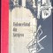 VIOLONCELISTUL DIN SARAJEVO-STEVEN GALLOWAY-267211