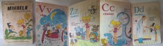 MIHAELA si al saptelea pitic, autor Nell Cobar, carte/brosura educativa pentru copii editata de ministerul sanatatii, in anul 1986