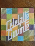 Vinil, Celelalte Cuvinte - Scrisori iubite , stare buna , Electrecord, 1986 / R4F