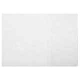 Coperta PVC caiet special mic (bio/geo/muzica) 495x175mm, 120 microni, ROM