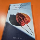 Amurg senin. Jurnal din exilul parizian 1997-2001 - Sanda Stolojan