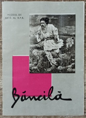 Pliant Octav Bancila foto