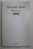 PULVERISES par ALEXANDRA BADEA , 2012