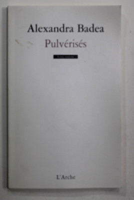 PULVERISES par ALEXANDRA BADEA , 2012 foto