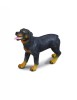 Figurina Rottweiler Collecta, 9cm, Plastic, Jucarie Copii, Caini, Multicolor, 3+ ani