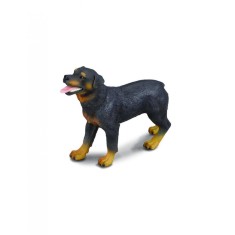 Rottweiler - Collecta
