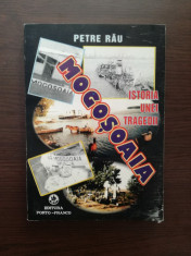 ISTORIA UNEI TRAGEDII MOGOSOAIA- PETRE RAU ( roman document ) foto