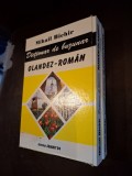 Dicționar de buzunar Olandez-Rom&acirc;n (2 volume) - Mihail Bichir