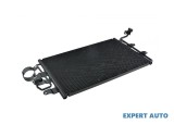 Radiator clima Volkswagen New Beetle (1998-2010)[9C1,1C1] #1
