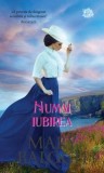 Numai Iubirea Roman Dragoste Mary Balogh Editura Litera Paperback