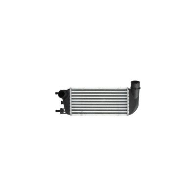 Intercooler Fiat 500 312 Denso Dit09110 foto