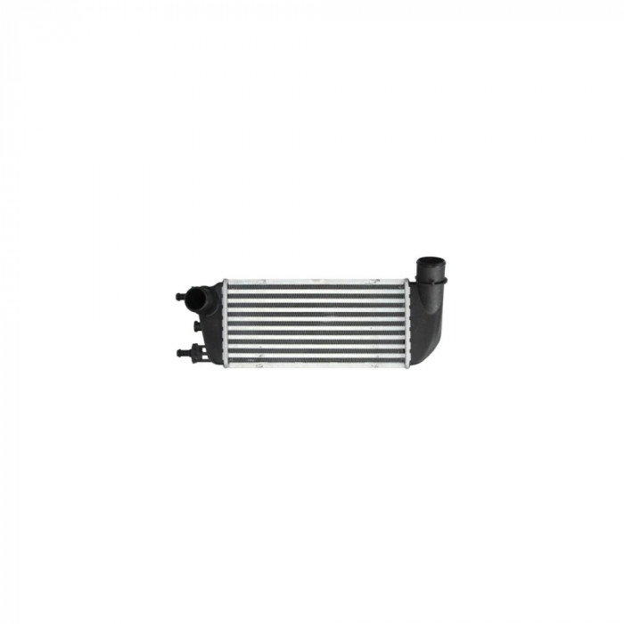 Intercooler Fiat 500 312 Denso Dit09110