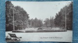 107 - Botosani - Gradina Mihai Eminescu / carte postala necirculata