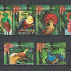 ROMANIA 2019 PASARI EXOTICE Serie 6 timbre cu bordura ilustrata LP.2251a MNH**