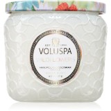 VOLUSPA Maison Blanc Wildflowers lum&acirc;nare parfumată 127 g
