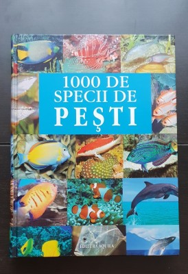 1000 de specii de pești, Aquila, 2006 foto