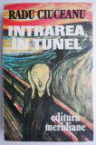 Intrarea in tunel &ndash; Radu Ciuceanu