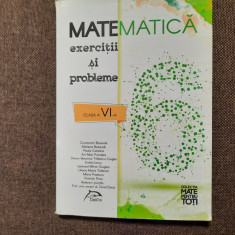 MATEMATICA EXERCITII SI PROBLEME CONSTANTIN BASARAB ED DELFIN