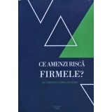 Ce amenzi riscă firmele? - 2021 - Dragoș Florin Căluianu (M272)