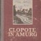 Clopote in Amurg, Volumul al II-lea - Roman
