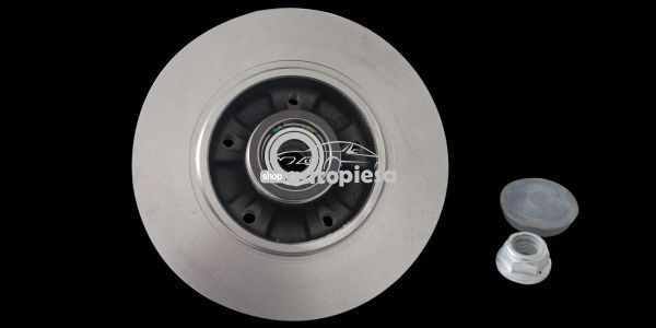 Disc frana RENAULT MEGANE III Cupe (DZ0/1) (2008 - 2016) RINGER 0950004244