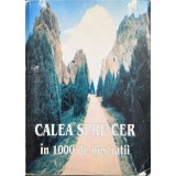 Calea spre cer &icirc;n 1000 de ilustrații