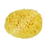 Burete natural de mare Honeycomb Spugnificio Bellini nr.12, 1 bucata, Dr. Brown&#039;s