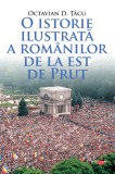 O istorie ilustrată a rom&acirc;nilor de la est de Prut - Octavian D Tacu - Editura Litera