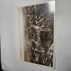 Carte postala fotografica Deva, Necirculata, Fotografie