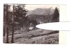 CP Predeal - Vedere spre Bucegi, RPR, circulata 1960, stare buna, Printata