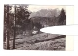 CP Predeal - Vedere spre Bucegi, RPR, circulata 1960, stare buna, Printata