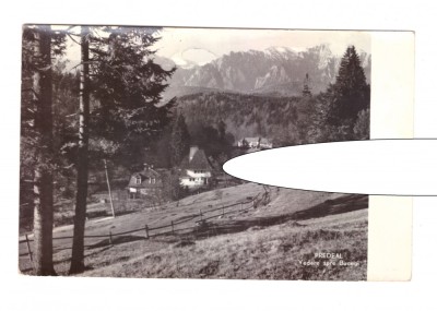 CP Predeal - Vedere spre Bucegi, RPR, circulata 1960, stare buna foto