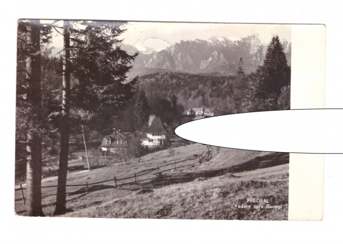 CP Predeal - Vedere spre Bucegi, RPR, circulata 1960, stare buna