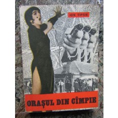 Orasul din campie - Ion Tipsie - 1979