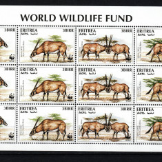 Timbre Eritreea, 1996 | Gazelă Oryx - Animale protejate - WWF | M/S - MNH | aph