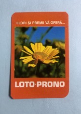 Calendar 1981 loto prono foto