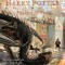 Harry Potter 4 Si Pocalul De Foc - Editie Ilustrata, J.K. Rowling - Editura Art