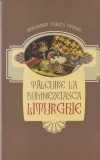Arhimandrit Vasilios Papadaki Talcuire Dumnezeiasca Liturghie Carte Religioasa Romana Egumenita Brosata 184 Pagini 2012