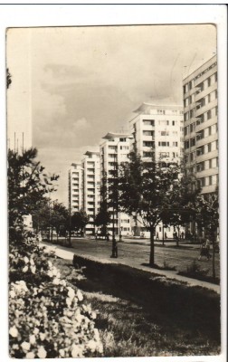 CPI B 10979 CARTE POSTALA - BUCURESTI. BULEVARDUL DINICU GOLESCU foto