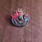 QW9 L 26 - Insigna - tematica simbolisitca - calaret - frunza artar - Canada