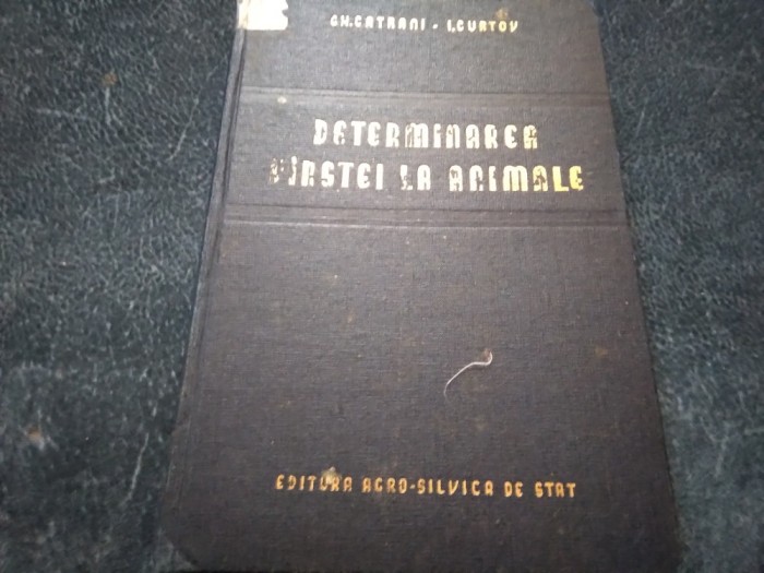 GH CATRANI - DETERMINAREA VARSTEI LA ANIMALE