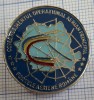 Insigna militara comandamentul operational aerian principal.