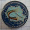 insigna militara comandamentul operational aerian principal.